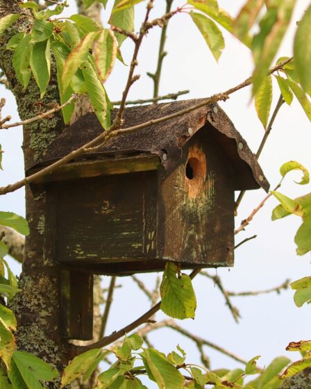 Vogelfutterhӓuser