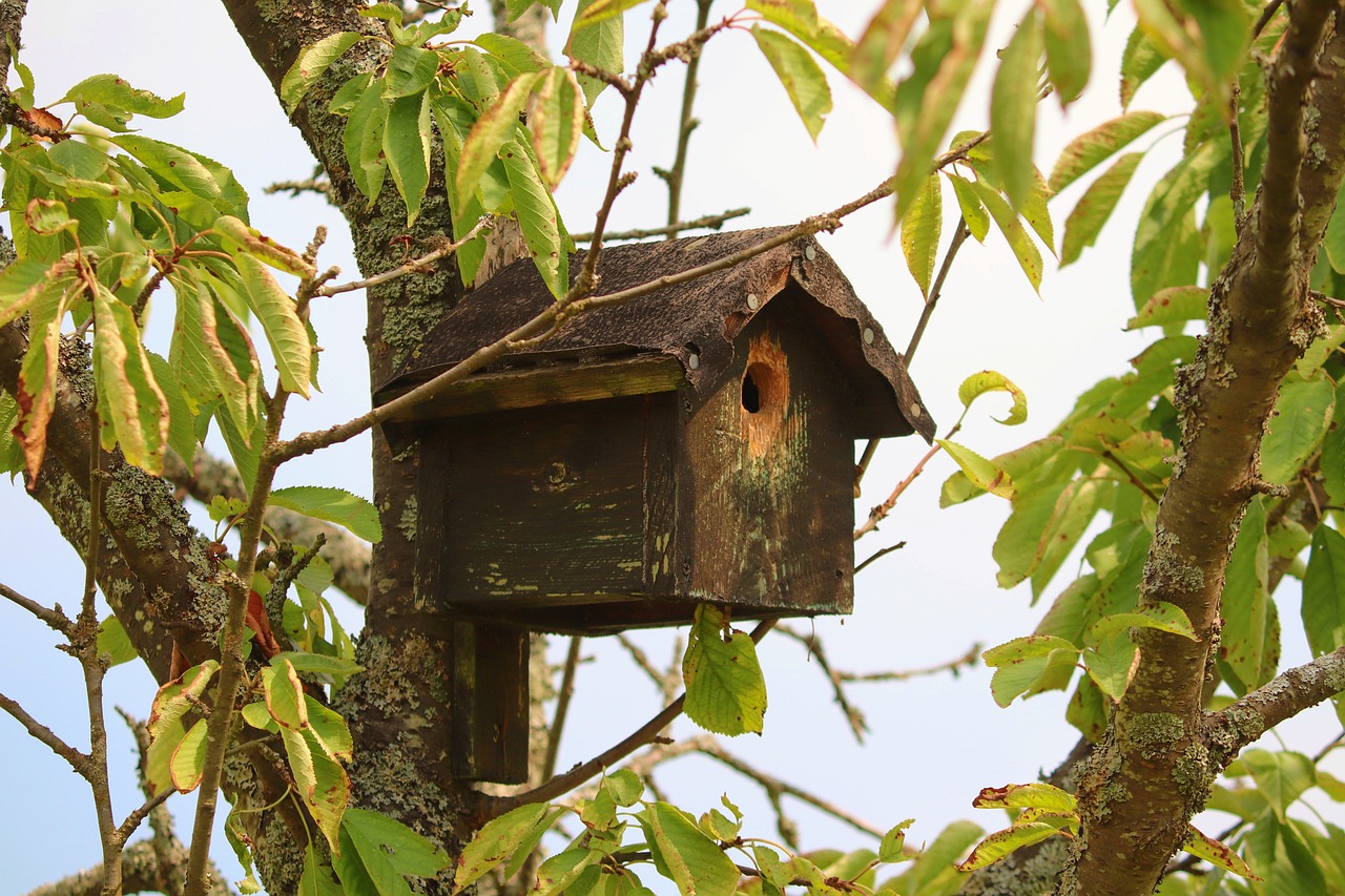 Vogelfutterhӓuser